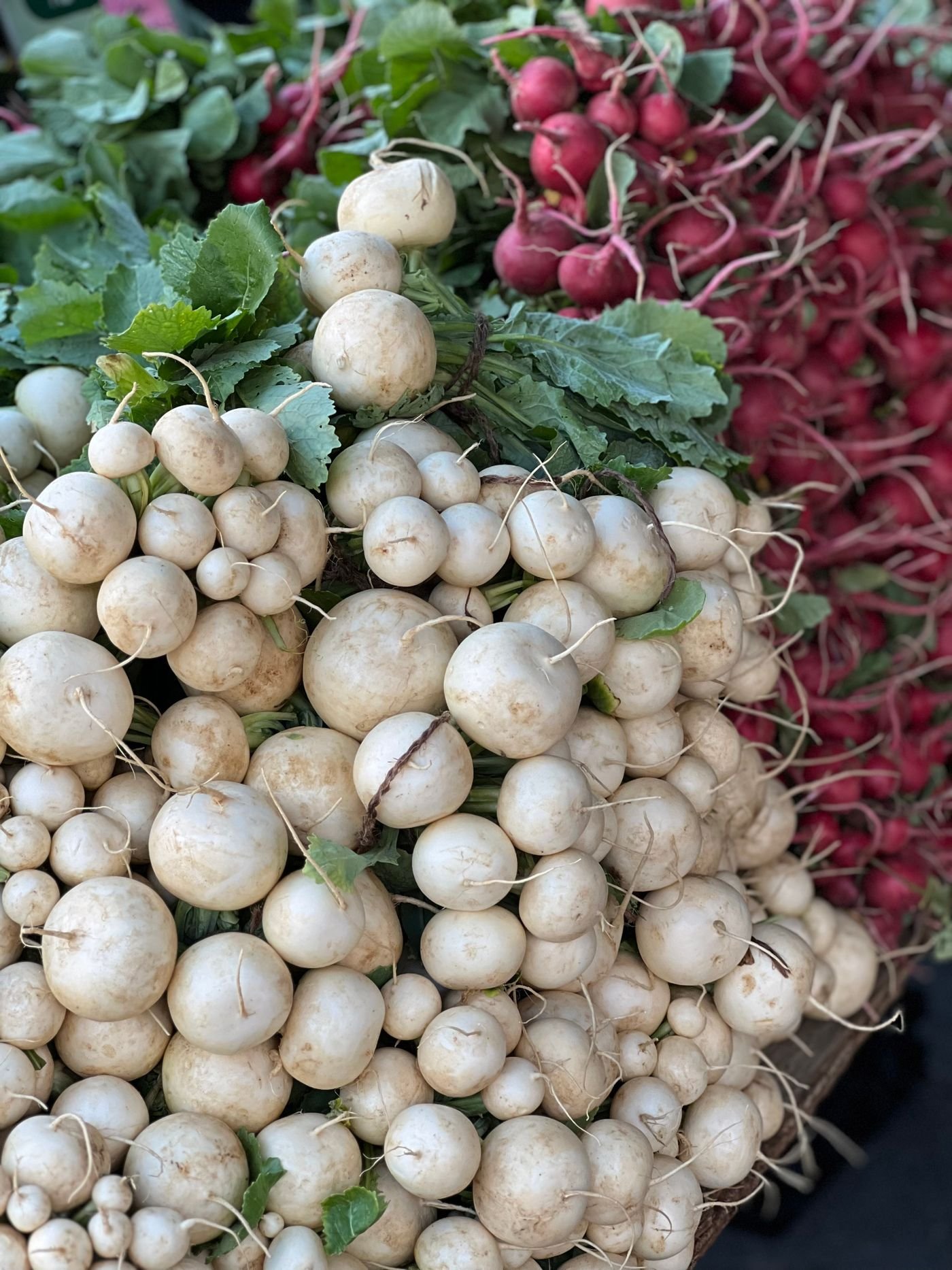 Heaps of white turnips and red radishes with leafy tops