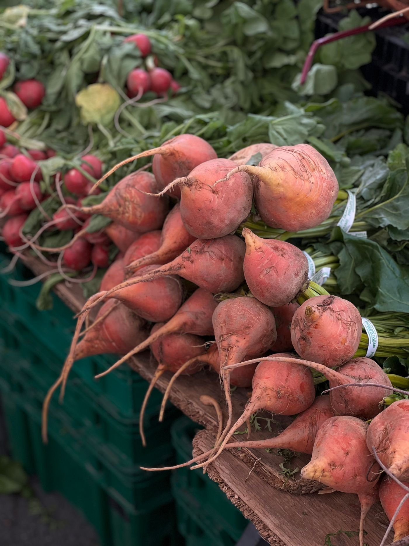 Bunches of golden beets stacked at a farm stand