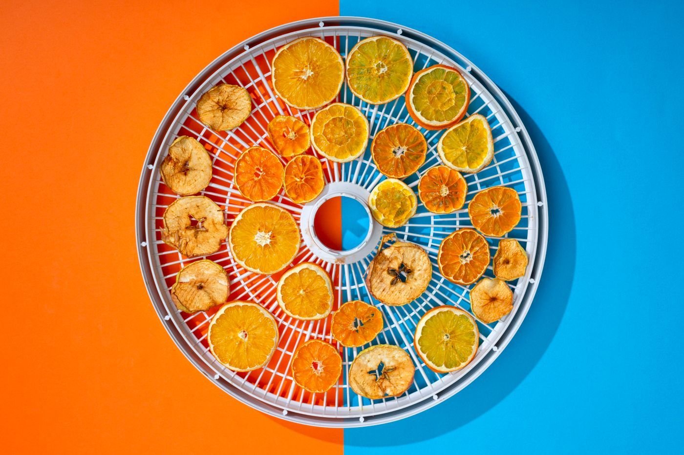 Dehydrated Orange and Lemon Wheels