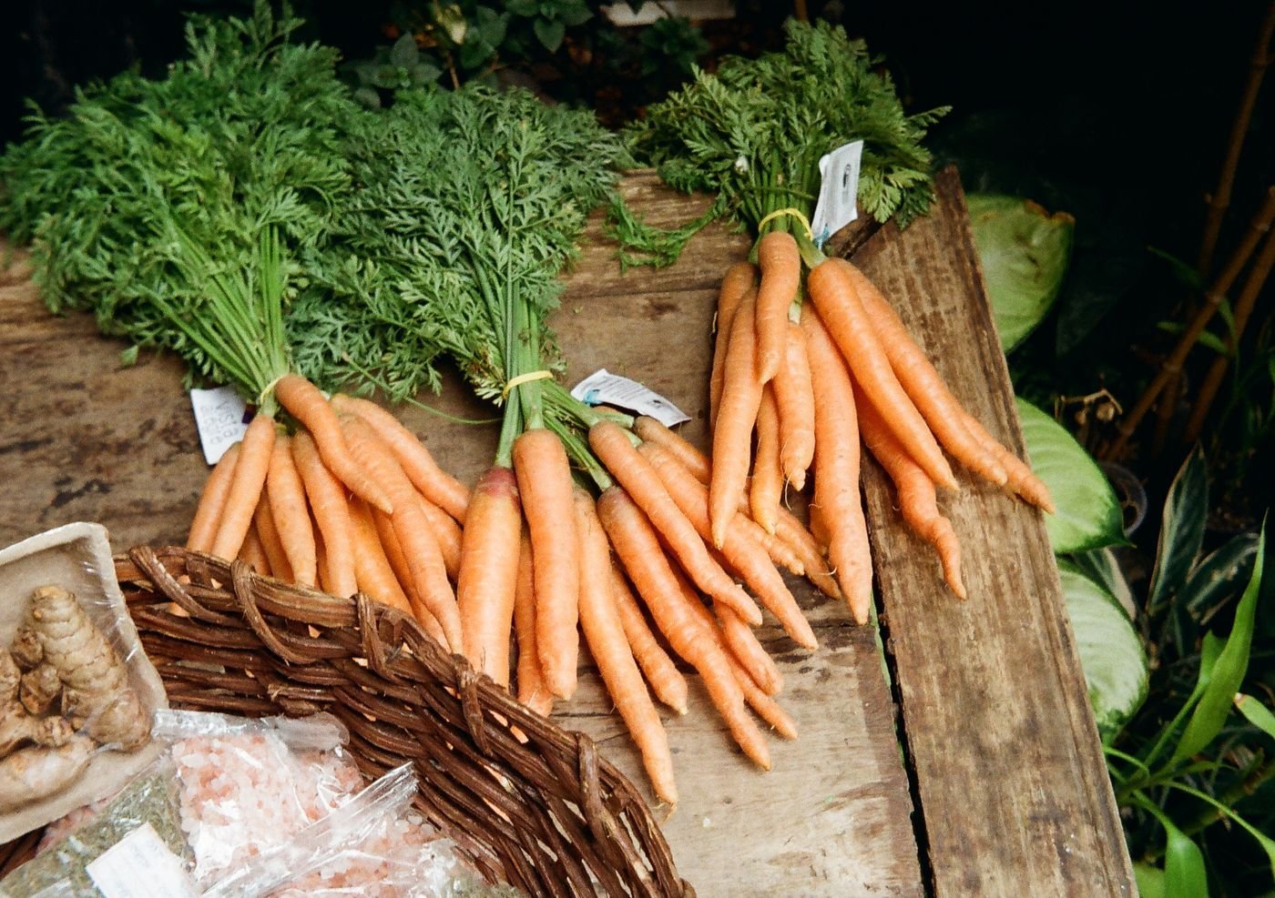Bunches of carrots with tops on rustic boards