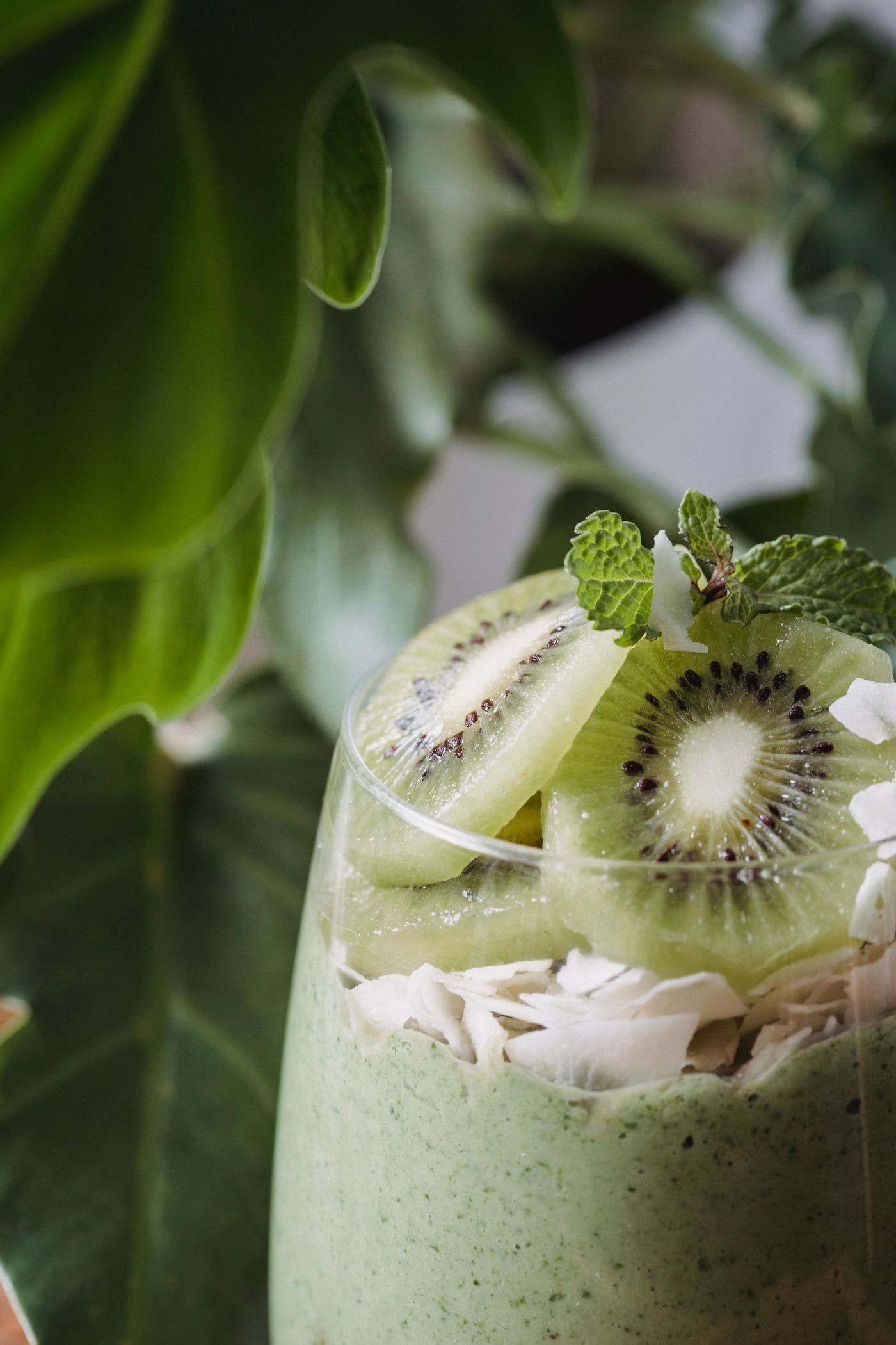 Coconut Kiwi Smoothie with Coconut Curls